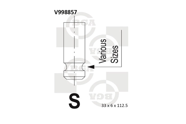 Intake Valve