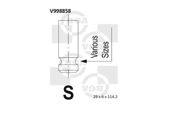 Exhaust Valve