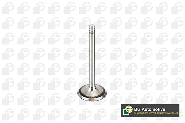 Intake Valve
