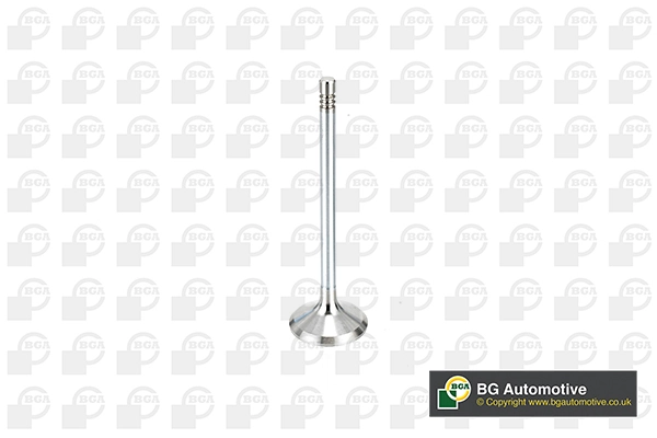 Intake Valve