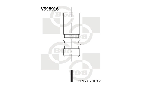 Intake Valve