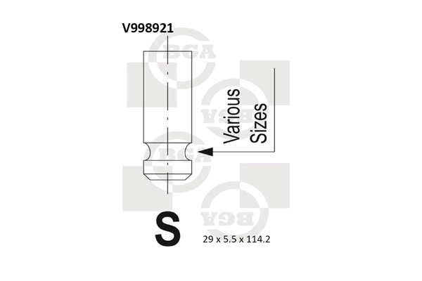 Exhaust Valve