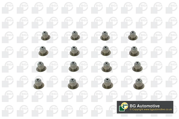 Seal Set, valve stem