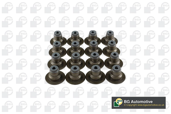 Seal Set, valve stem