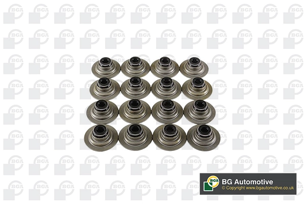 Seal Set, valve stem