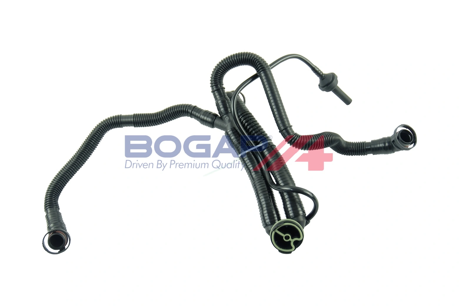 Hose, crankcase ventilation
