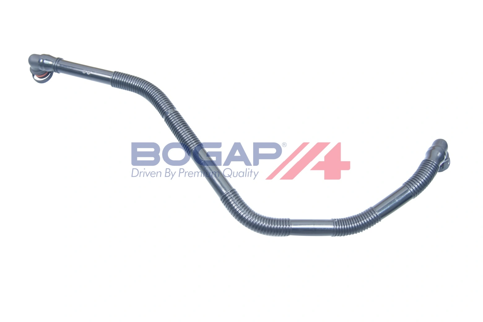 Hose, cylinder head cover ventilation