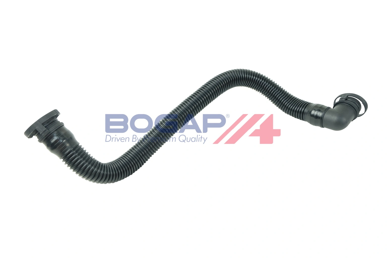 Hose, cylinder head cover ventilation