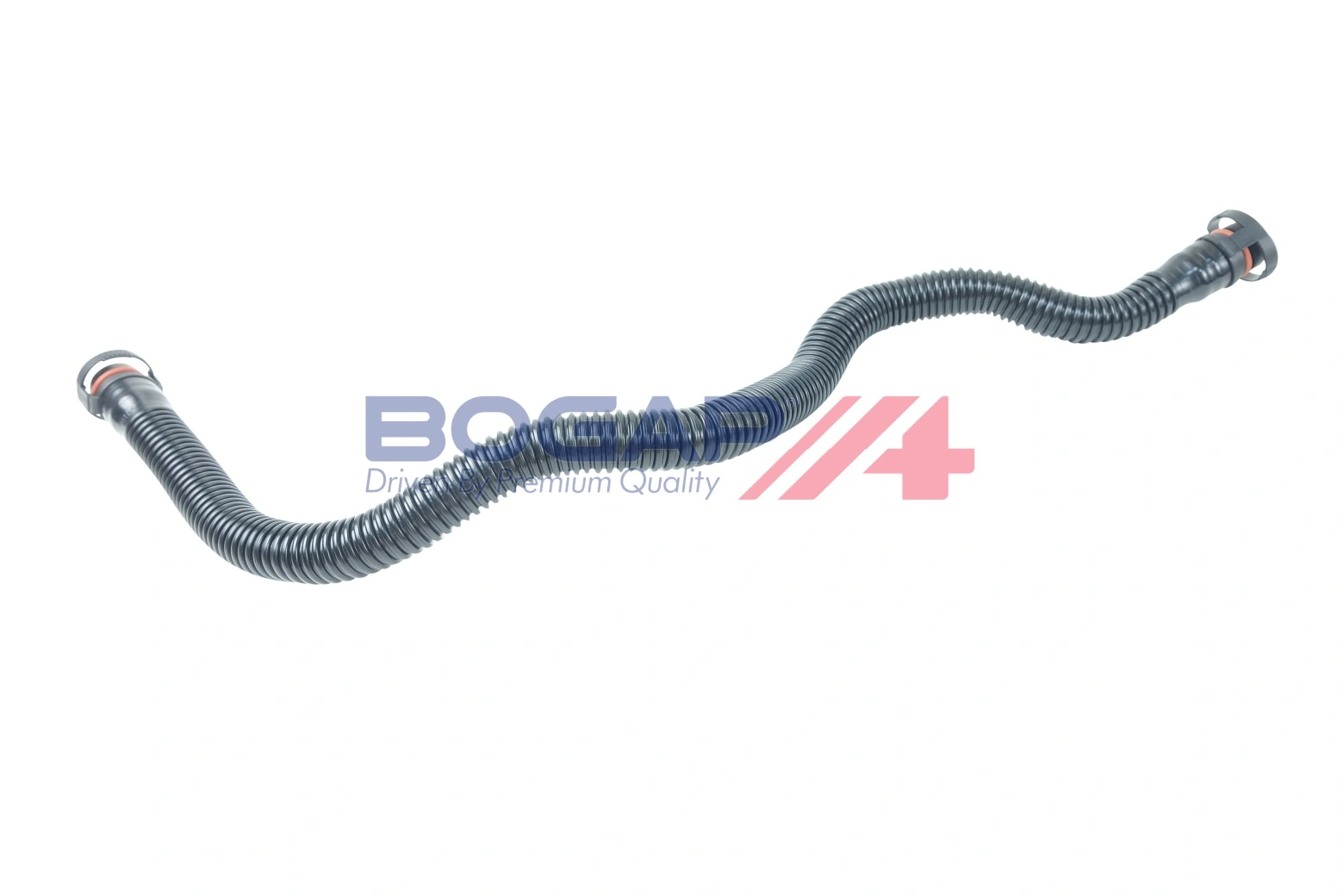 Hose, cylinder head cover ventilation