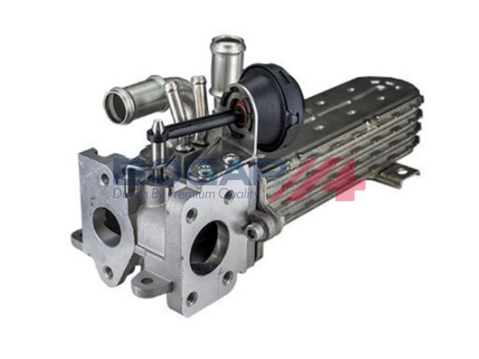 Valve, exhaust gas recirculation