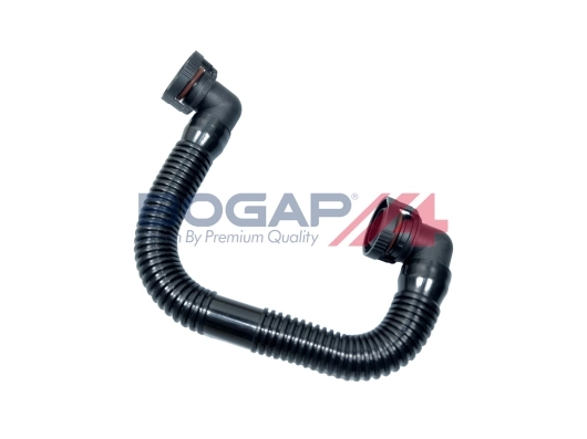 Hose, cylinder head cover ventilation