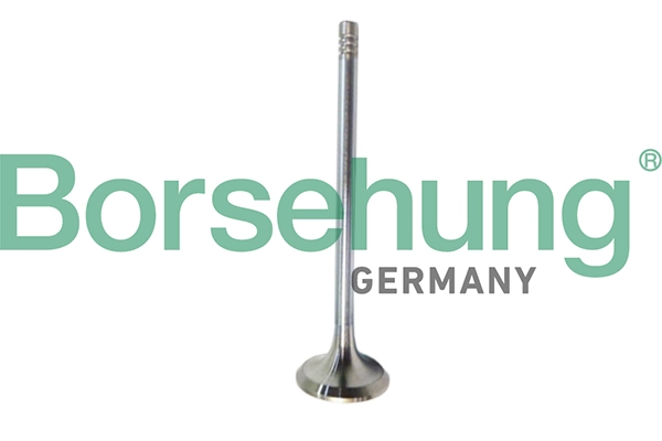 Exhaust Valve