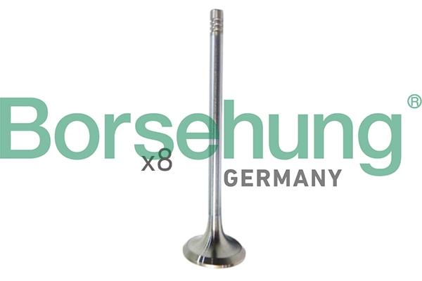 Intake Valve