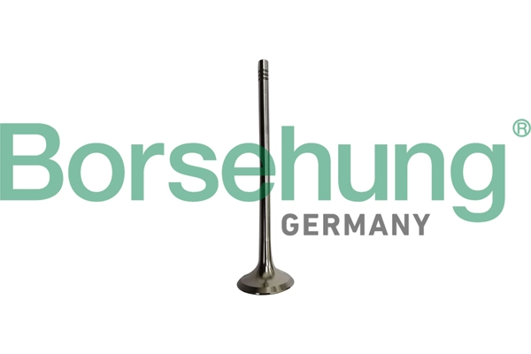 Exhaust Valve