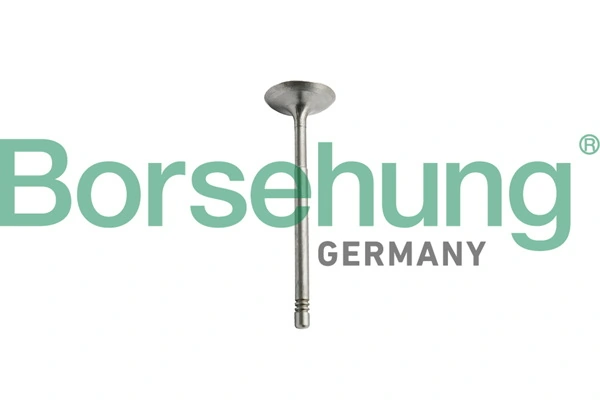 Exhaust Valve