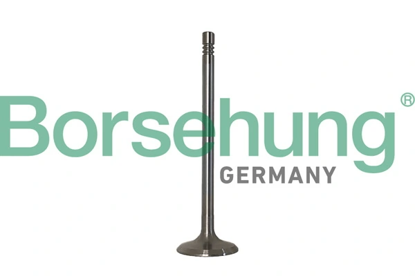 Intake Valve