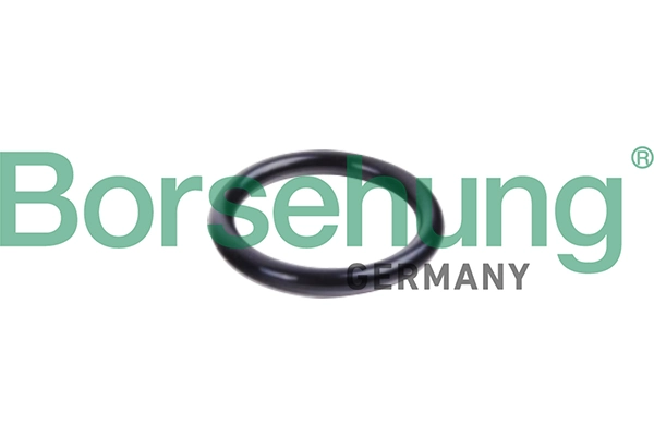 Seal Ring, coolant pipe