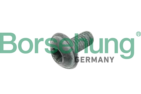 Bolt, brake disc