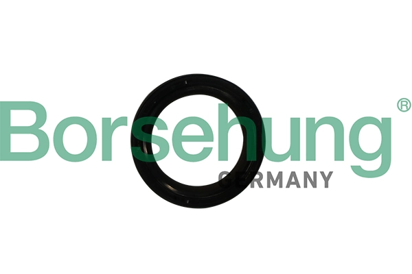 Shaft Seal, crankshaft