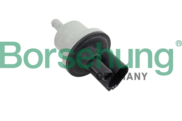 Charcoal Filter Valve
