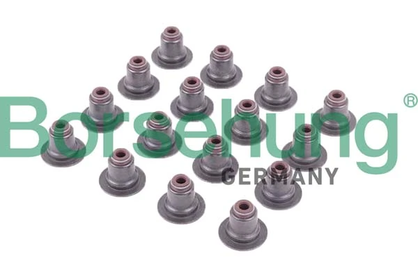 Seal Ring, valve stem