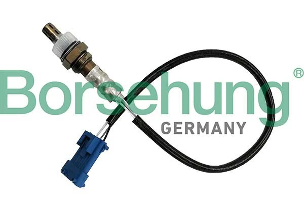 Oxygen Sensor