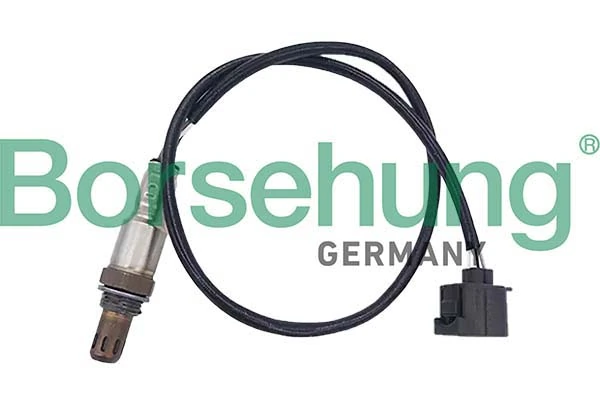 Oxygen Sensor
