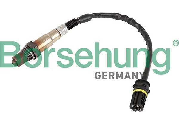 Oxygen Sensor