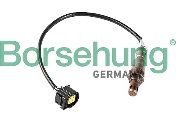 Oxygen Sensor