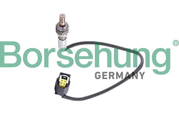 Oxygen Sensor