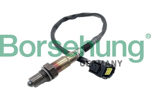 Oxygen Sensor