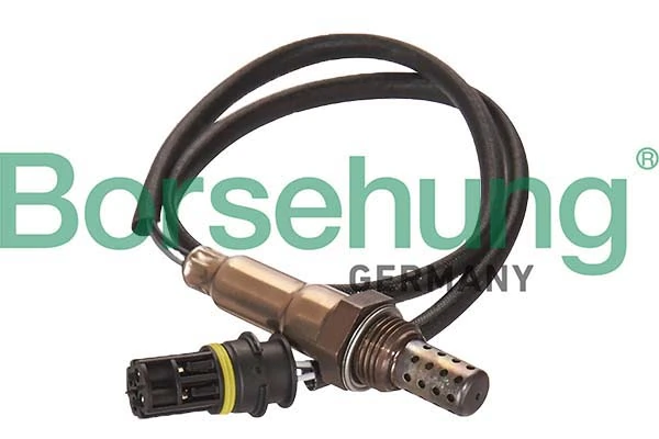 Oxygen Sensor