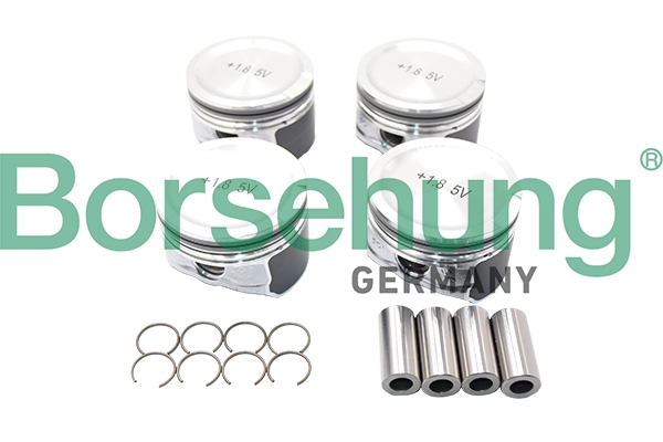Piston Set