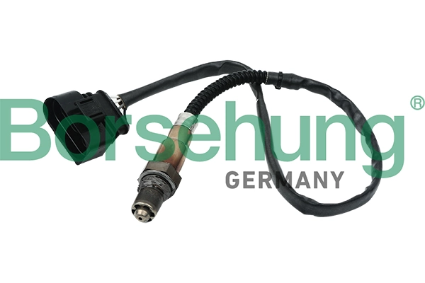 Oxygen Sensor