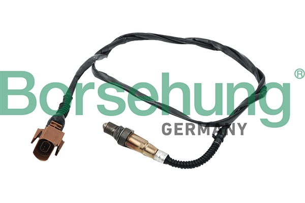 Oxygen Sensor
