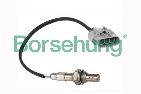 Oxygen Sensor