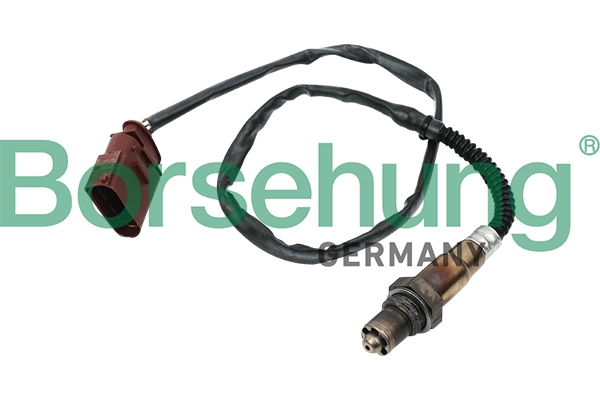 Oxygen Sensor