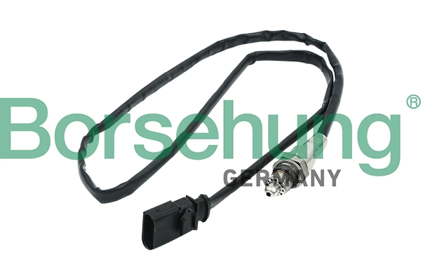 Oxygen Sensor