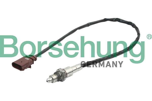 Oxygen Sensor