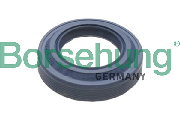 Shaft Seal, differential