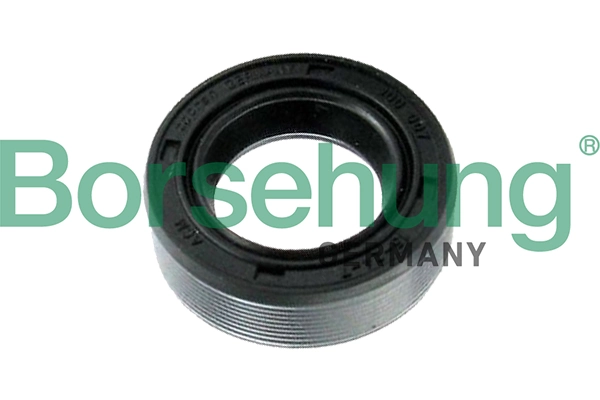 Shaft Seal, differential