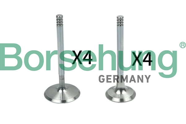 Valve Kit, intake/exhaust valve