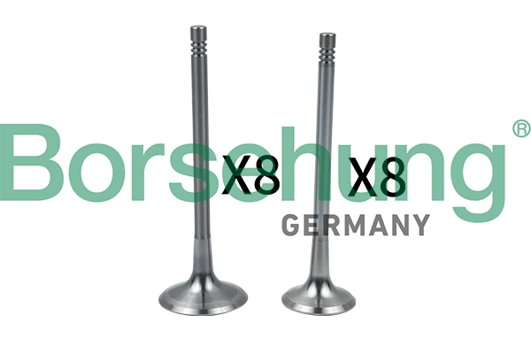 Intake Valve