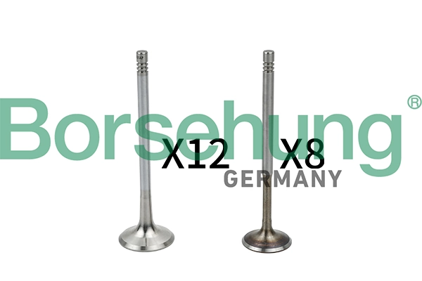 Valve Kit, intake/exhaust valve