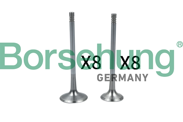 Intake Valve