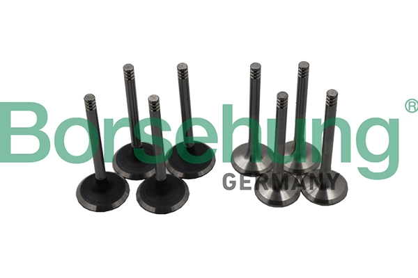 Valve Kit, intake/exhaust valve