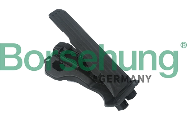 Accelerator Pedal Unit
