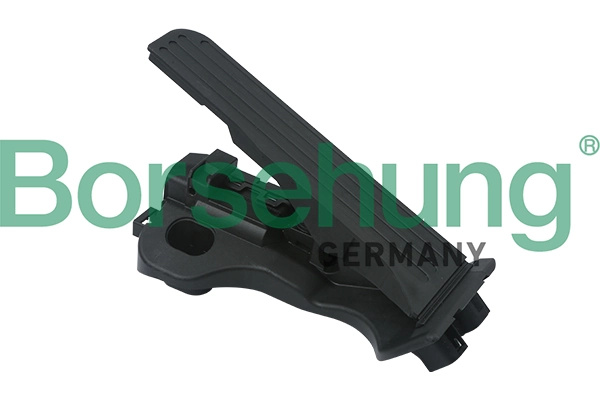 Accelerator Pedal Unit