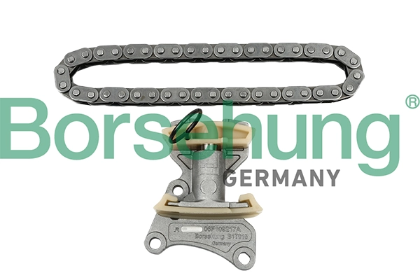 Timing Chain Kit