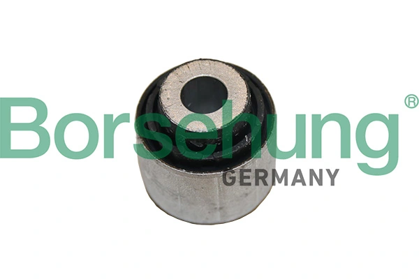 Mounting, control/trailing arm